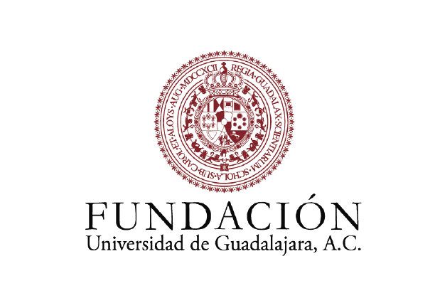 Fundacion udg